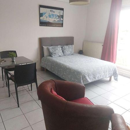 Residence D'Anjou - Grand Studio Avec Balcon Et Parking Privatif 佩皮尼昂 外观 照片