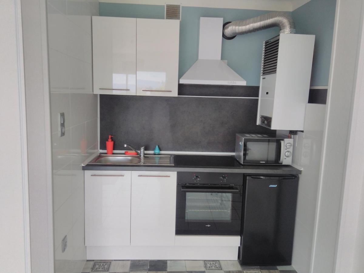 Residence D'Anjou - Grand Studio Avec Balcon Et Parking Privatif 佩皮尼昂 外观 照片